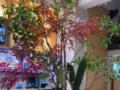 -花漫里日式餐厅(刺桐店)