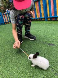 -萌宠亲子动物乐园(槐房万达店)