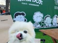 -星巴克(北京三里屯SOHO一店)