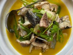 黄焖鲟龙鱼-饭怕鱼(阳光100店)