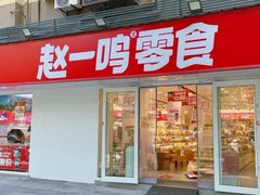 -赵一鸣零食(江苏南京福园街店)