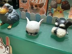 -帕帕拉兹宠物(亚洲旗舰店)