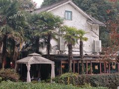 -野蔓果·山野菜(西湖景区·龙井茶田店)