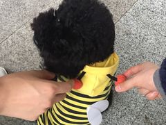 -蜜蜂小象·榴莲千层蛋糕(时代汇11栋店)