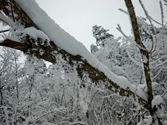 -海螺沟风景区