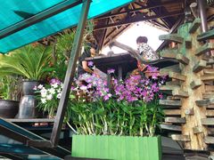 -自然餐厅(Phuket)