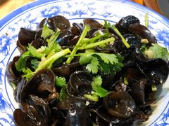 小木耳-锅来乐地锅鸡(安亭店)