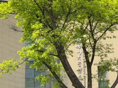-四川大学(望江校区)