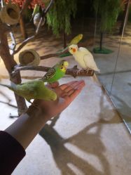 -酷嗒动物文化乐园(cutezoo西溪乐天城店)