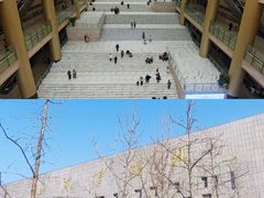 -山东博物馆