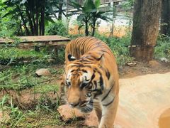 -昆明动物园