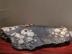 -杭州工艺美术博物馆