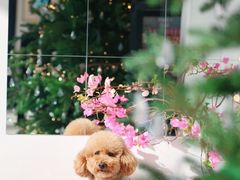 -BLUE HOUSE咖啡