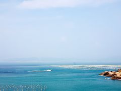 -枸杞岛