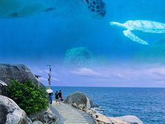 -广东惠东海龟国家级自然保护区