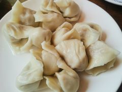 酸菜饺子-一锅厨东北水饺店(厦大店)