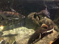 -太平洋海底世界