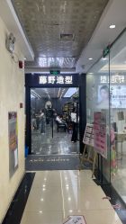 点击看大图 -藤野造型