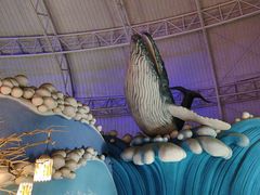 -烟台海昌鲸鲨海洋公园