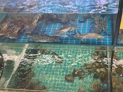 -坛南湾阿强农家乐.海鲜大排档老字号(福州地标美食店)