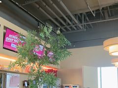 -金鼎轩(鸟巢北辰荟店)