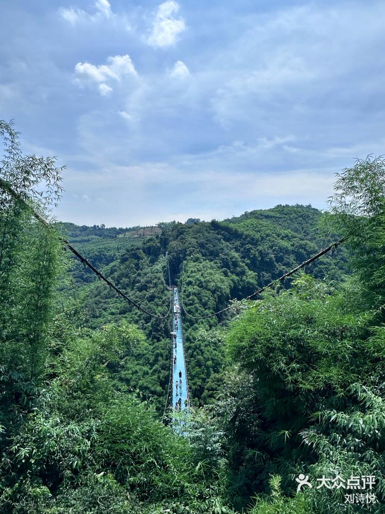 邛崃川西竹海景区电话图片