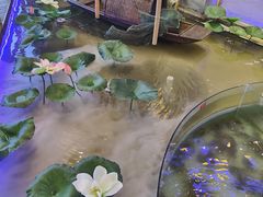 -火福·天湖阁大闸蟹博物馆主题餐厅(浅水湾店)