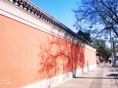 -国家图书馆·古籍馆