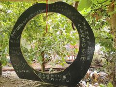 -呀路古热带植物园