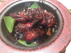 -佬肥猫(七宝宝龙店)