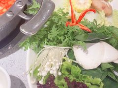 -掂档潮汕牛肉火锅(沈阳万象城店)