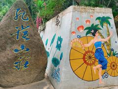 -西双版纳原始森林公园