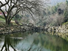 -冶父山国家森林公园