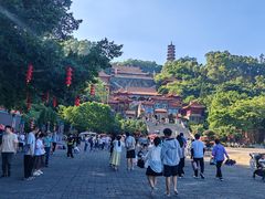 -南沙天后宫景区