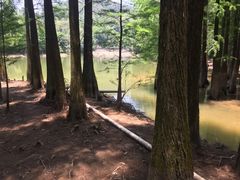 -滴水岩森林公园