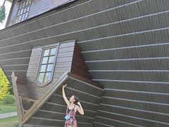-金山农民画村-枫泾波兰倒置屋