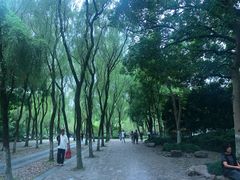 -柳浪闻莺公园