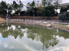 -美兰湖景区
