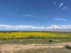 -撒拉人家.酸菜牦牛肉火锅
