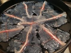 招牌有机黑鱼-七秒鱼·斑鱼火锅(太阳城店)