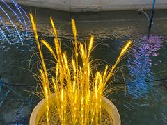 -苏州味道(阳澄湖服务区店)