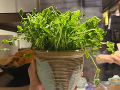 -牛村来人潮汕牛肉火锅(西单店)