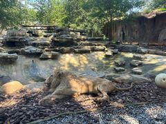 -北京野生动物园