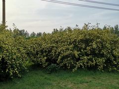 -长春公园(普阳街道)