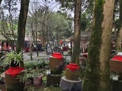 -土砂锅生态山庄·非遗砂锅雅鱼