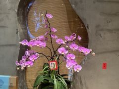 -若蘭慈·无国界素食料理(欢乐海岸店)