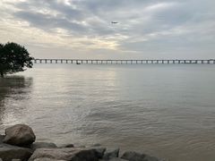 -宝安西湾红树林湿地公园