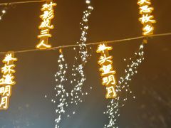 -花博汇(知音花月夜)