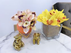 -MIVI野生眉纹绣纹眉