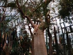 -北京植物园-展览温室